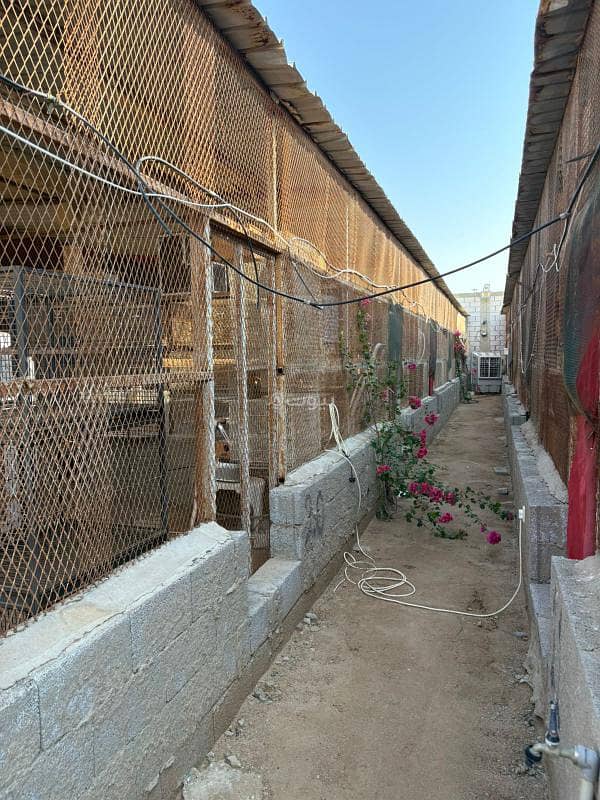 5 bedroom land in Jeddah 5