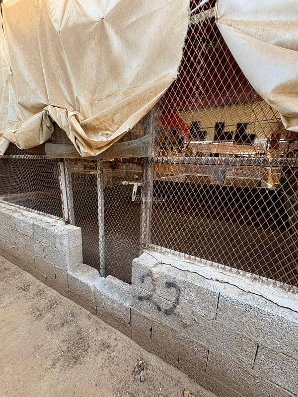 5 bedroom land in Jeddah 11