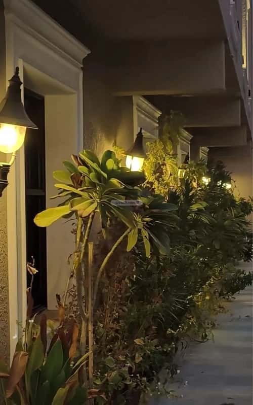 1 bedroom apartment in Al Sulaimaniyyah 4