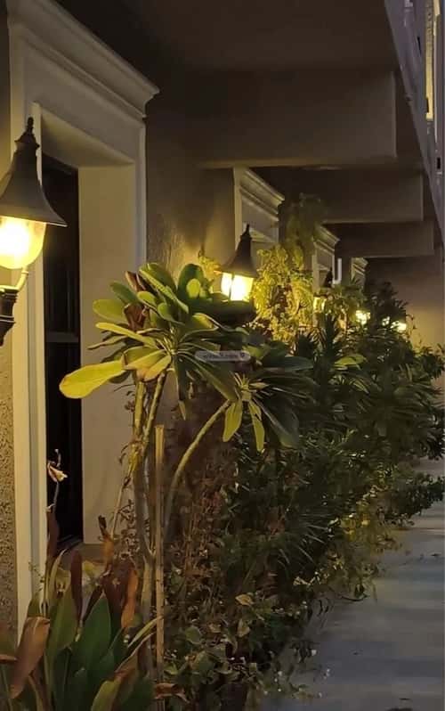 1 bedroom apartment in Al Sulaimaniyyah 3