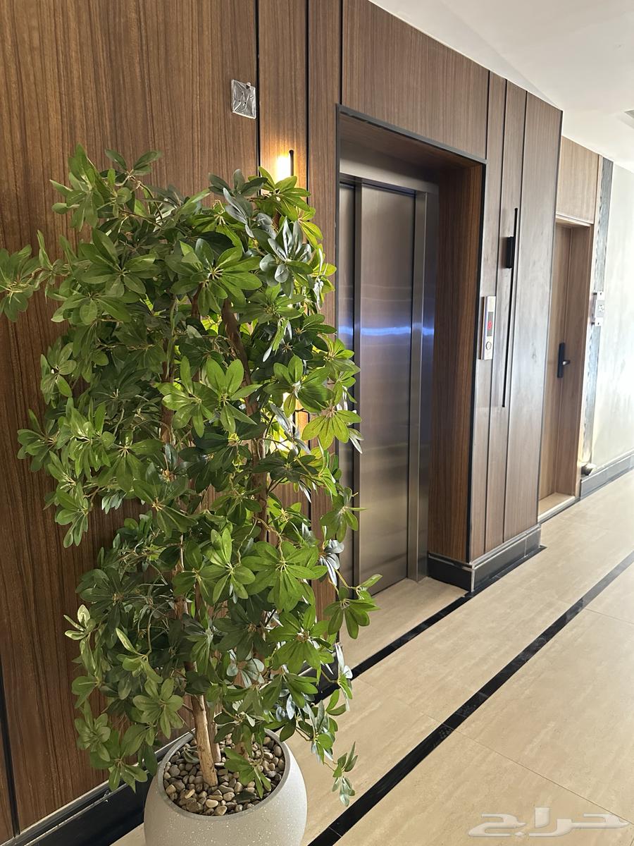 apartment in Ad Dhubbat, Riyadh 3