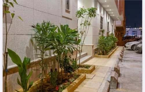 1 bedroom apartment in Al Aqiq 2