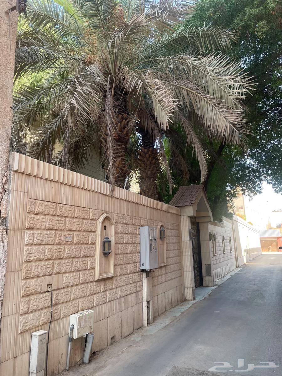 فيلا 6 غرف في المربع، الرياض 6