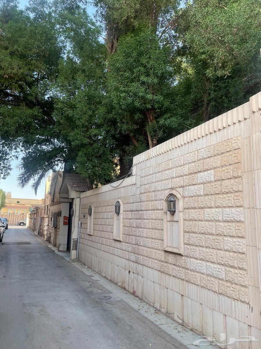 فيلا 6 غرف في المربع، الرياض 5