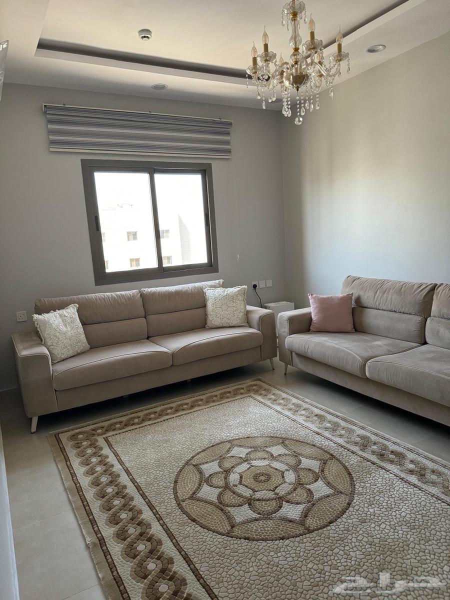شقة  في الجامعة، المدينة المنورة 2
