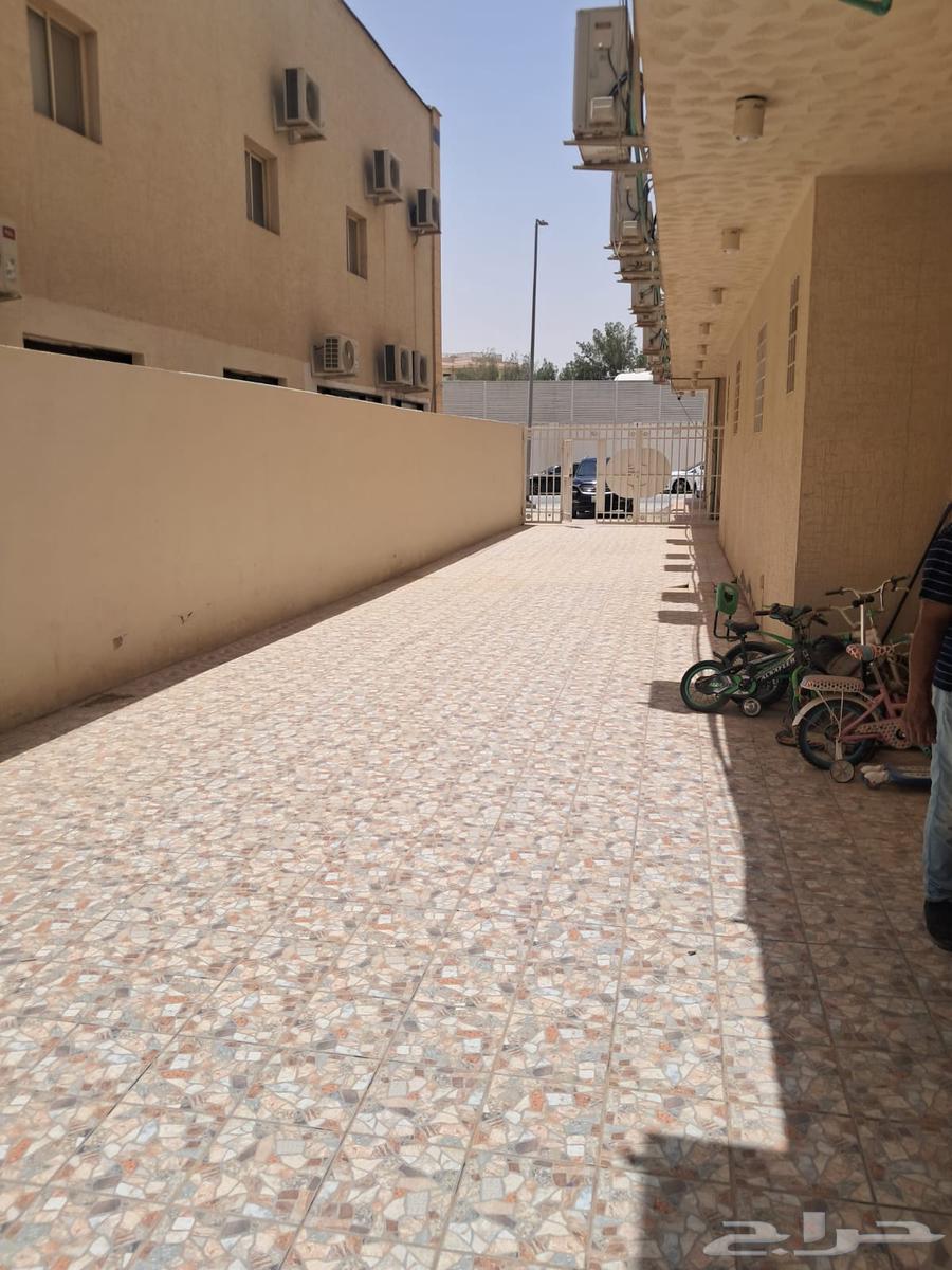 فيلا 3 غرف في السليمانية، الرياض 4