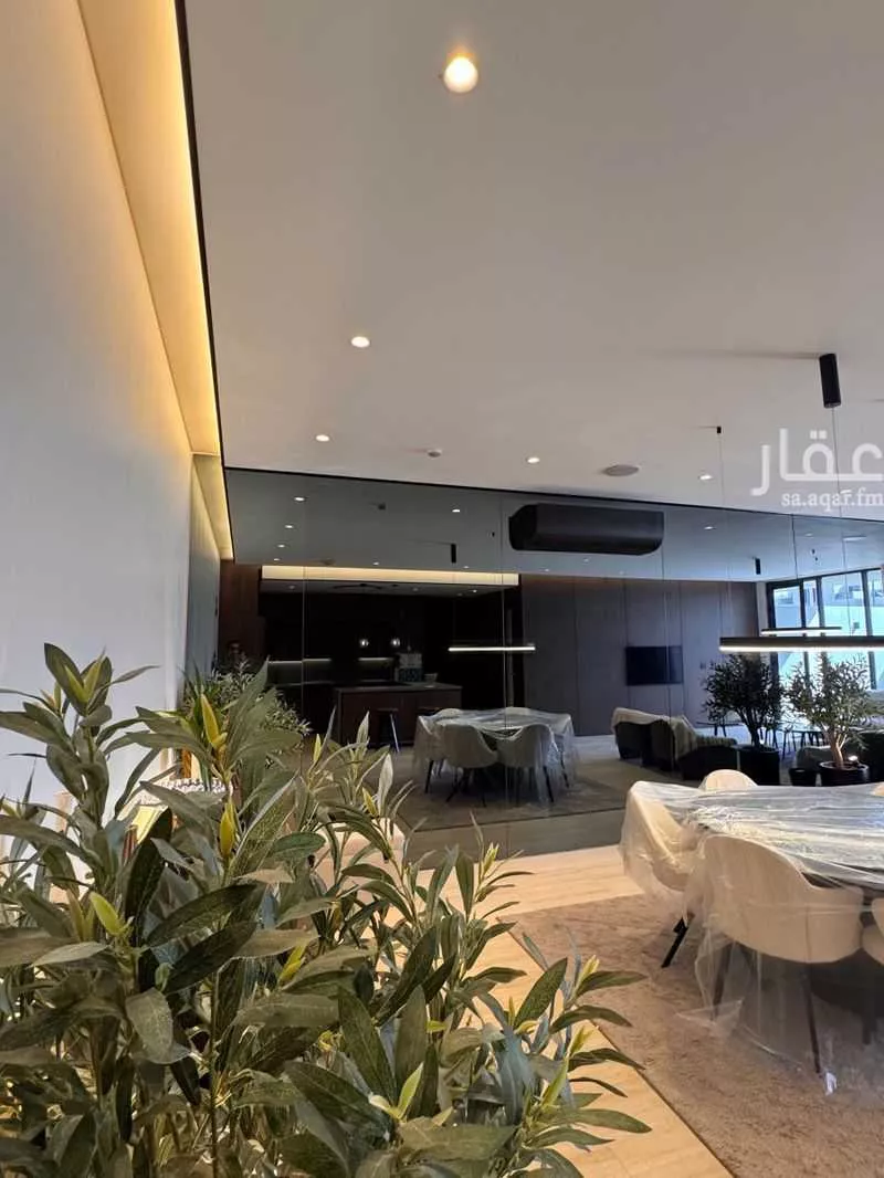 دور 3 غرف في قرطبة 16