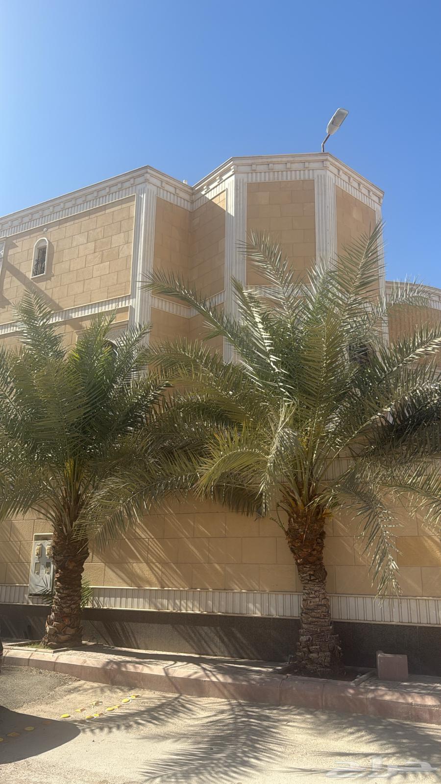 فيلا 7 غرف في ظهرة لبن، الرياض