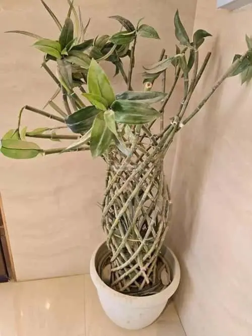 3 bedroom apartment in Al Ghadir, Riyadh 14
