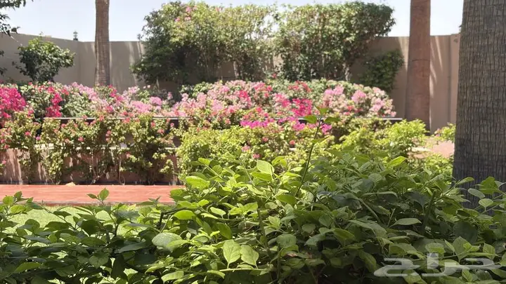 4 bedroom villa in Al Rashidiyyah, Makkah 3