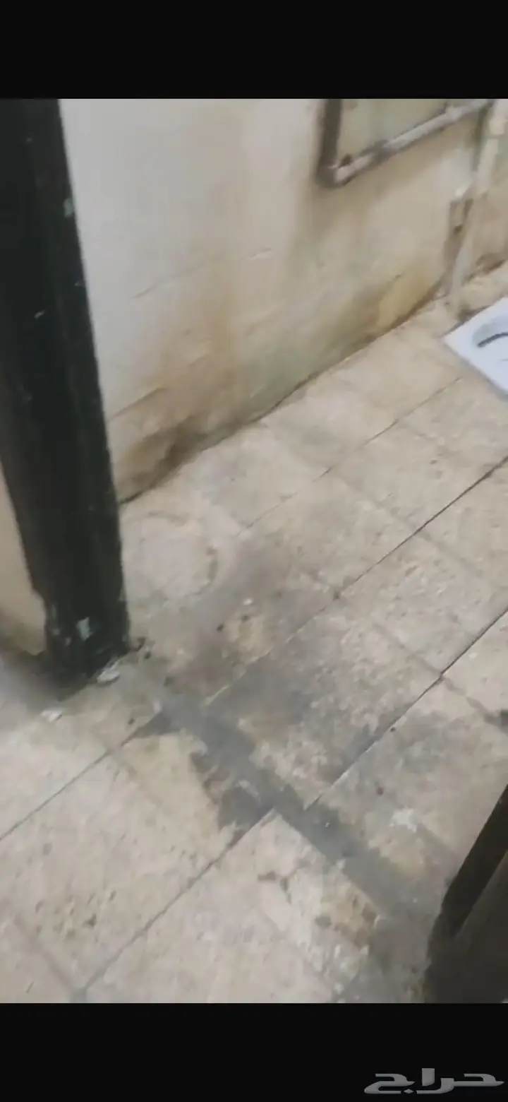 شقة 2 غرف في الصالحية، الرياض 2