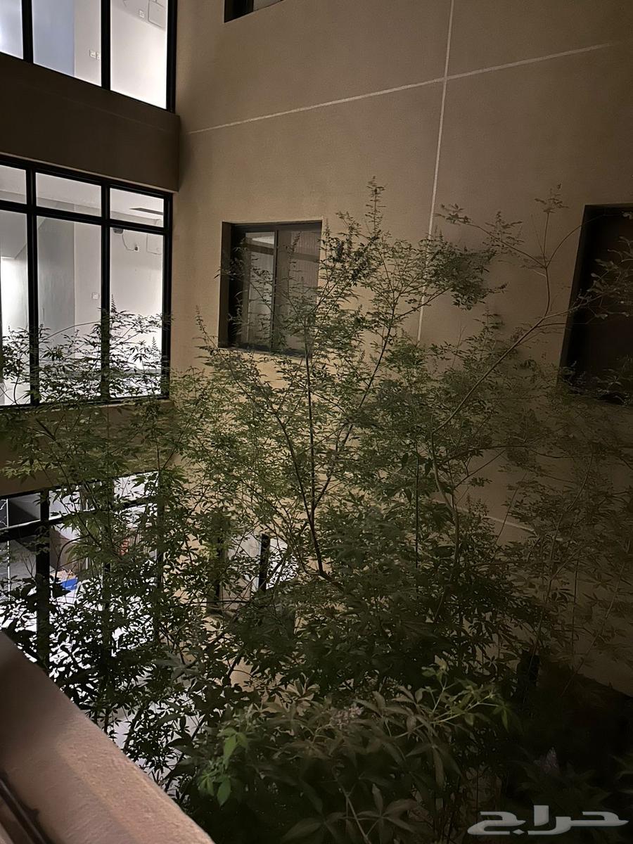 3 bedroom apartment in Al Aridh 6