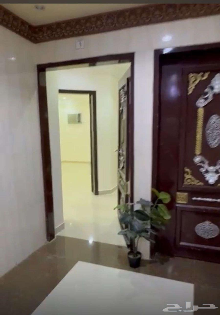 3 bedroom apartment in Al Qadisiyah 11