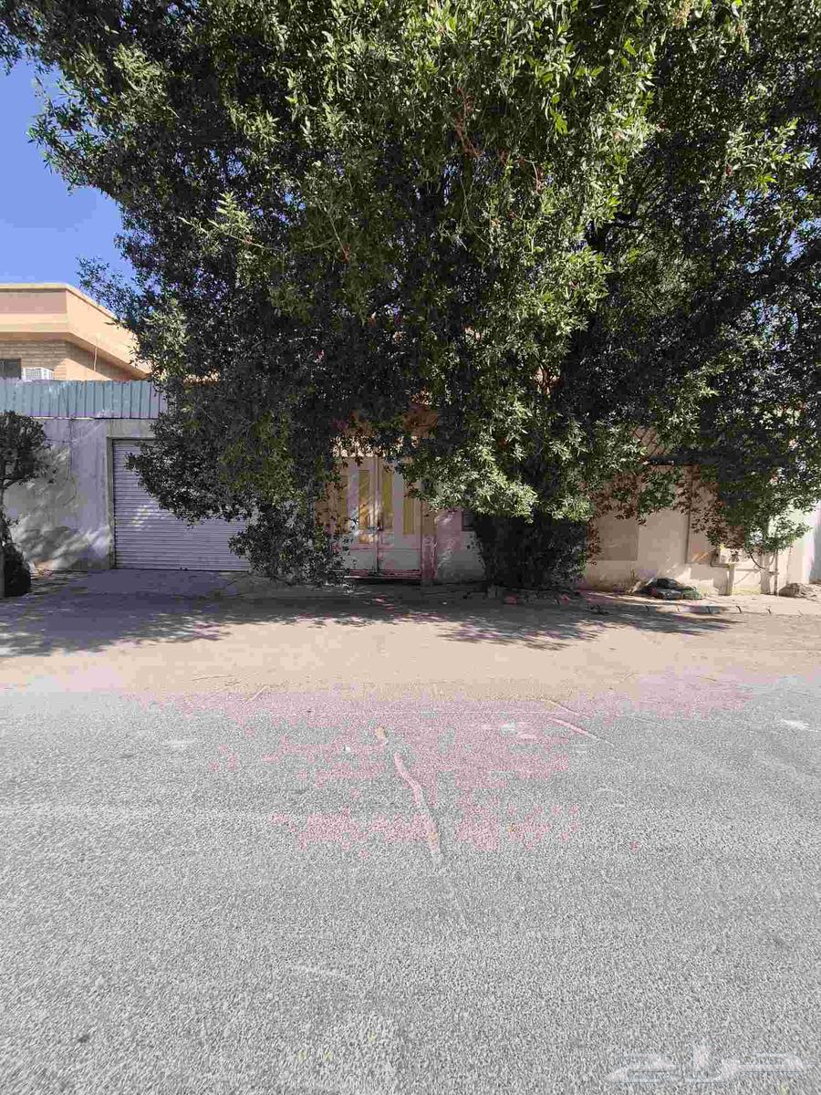 11 bedroom villa in Al Aziziyah 3