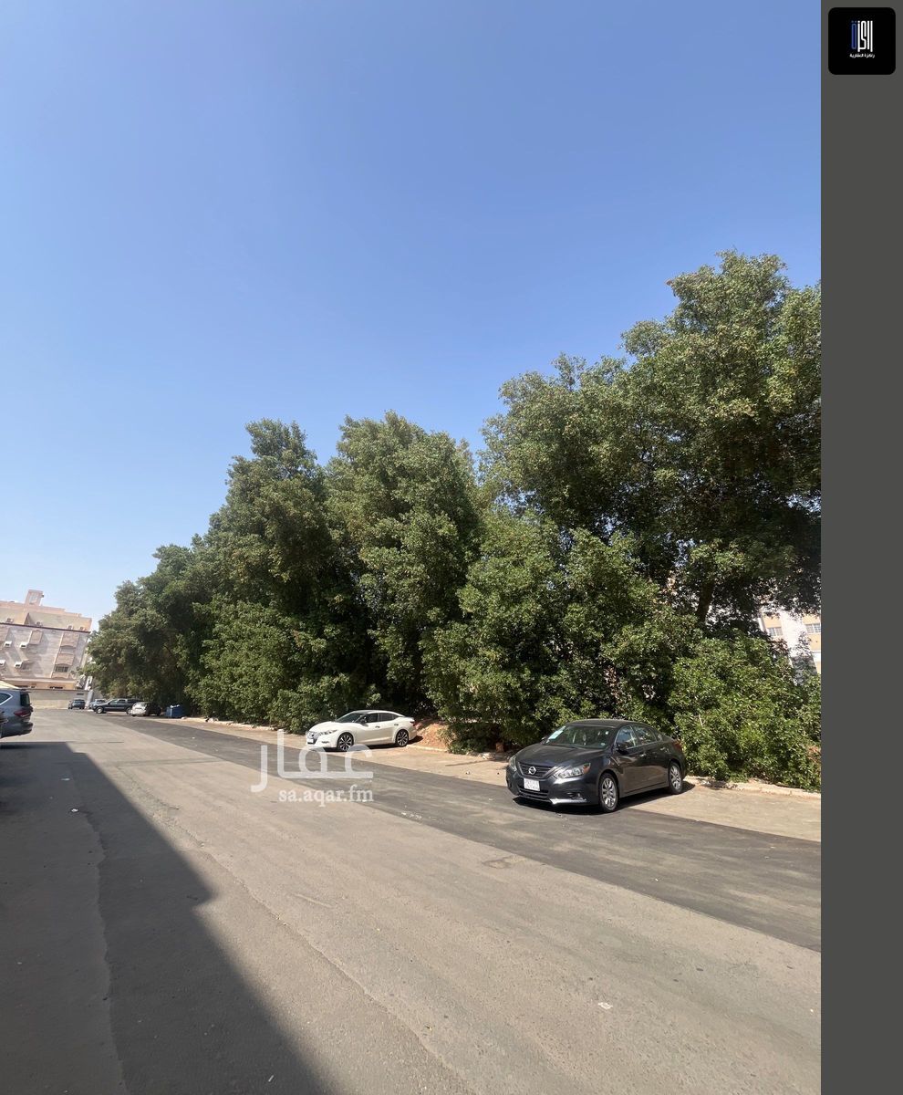 land in Al Safa, Jeddah 2