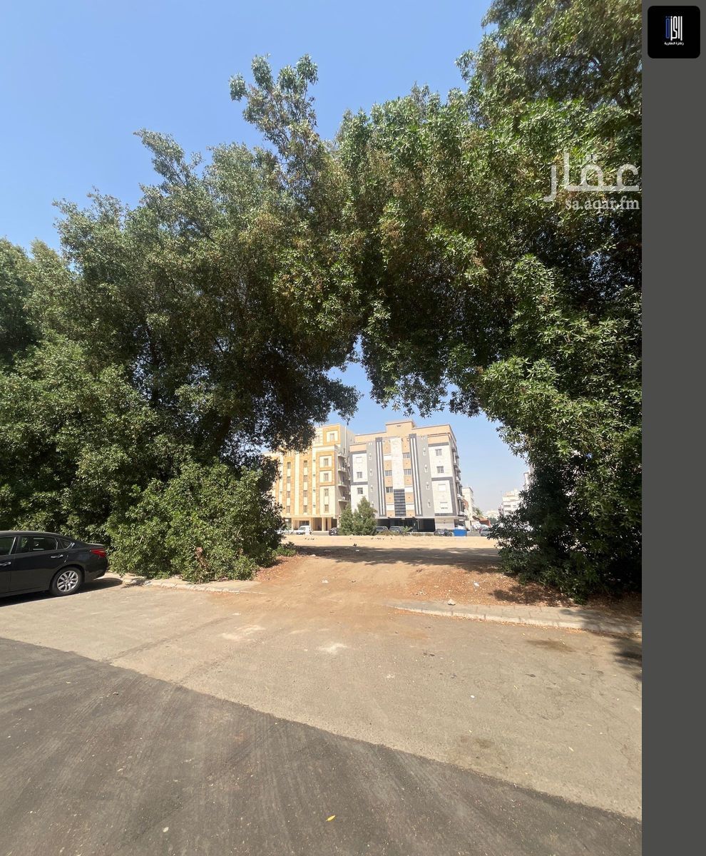 land in Al Safa, Jeddah 4