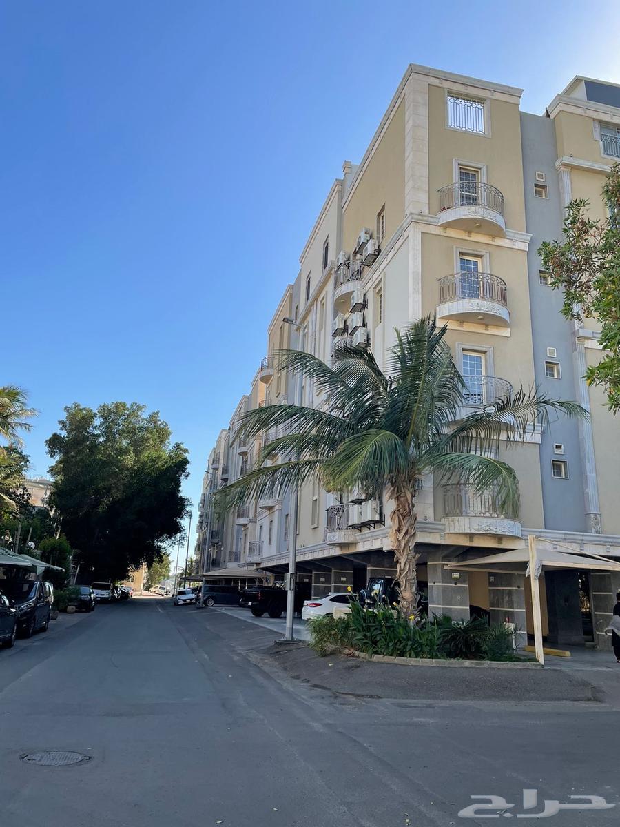 5 bedroom apartment in Al Salamah 2