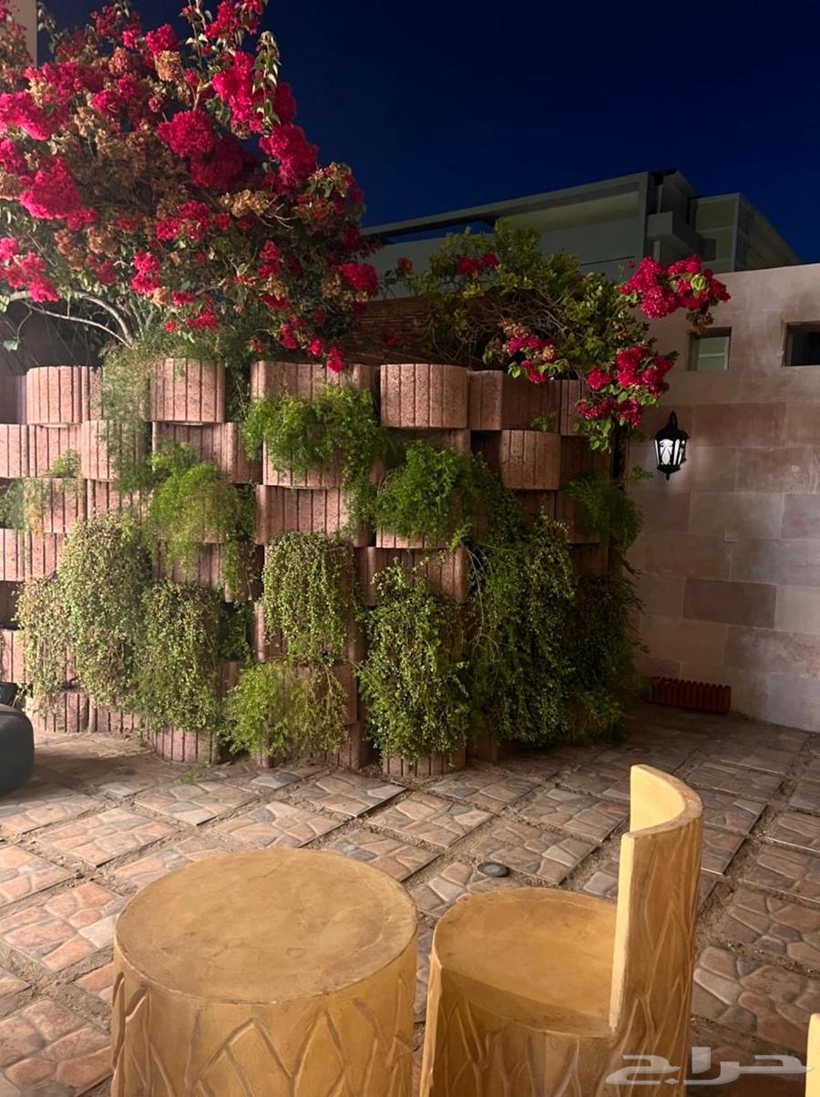4 bedroom villa in Al Zahra, Jeddah 3