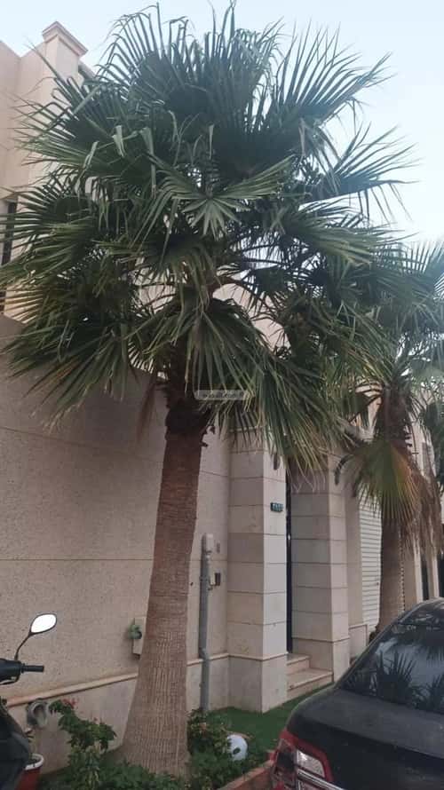 فيلا 5 غرف في العارض 5