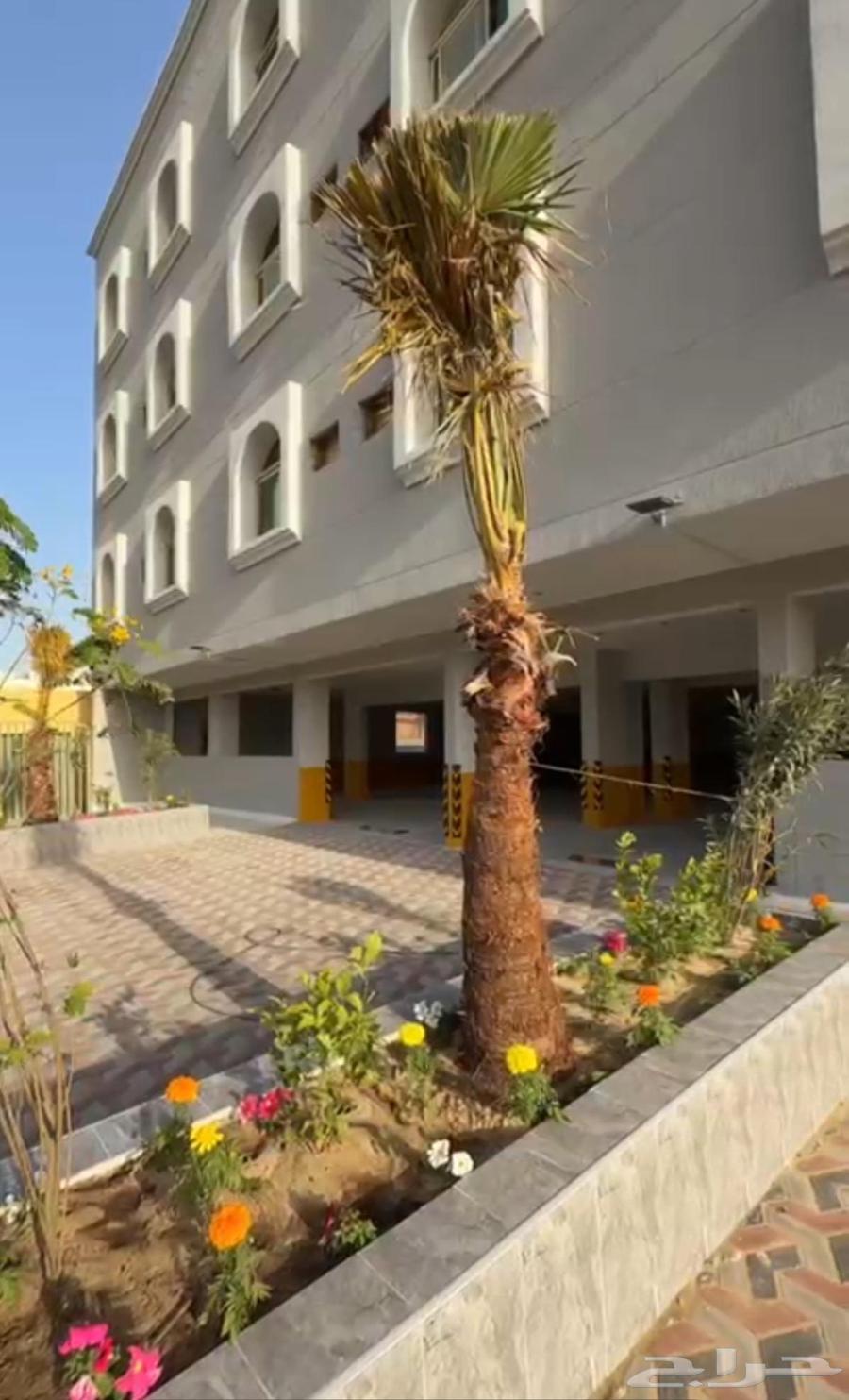 2 bedroom apartment in Muhammed Ibn Saud, Eastern Province 2