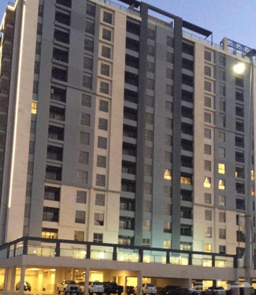 3 bedroom apartment in Al Hamra 16
