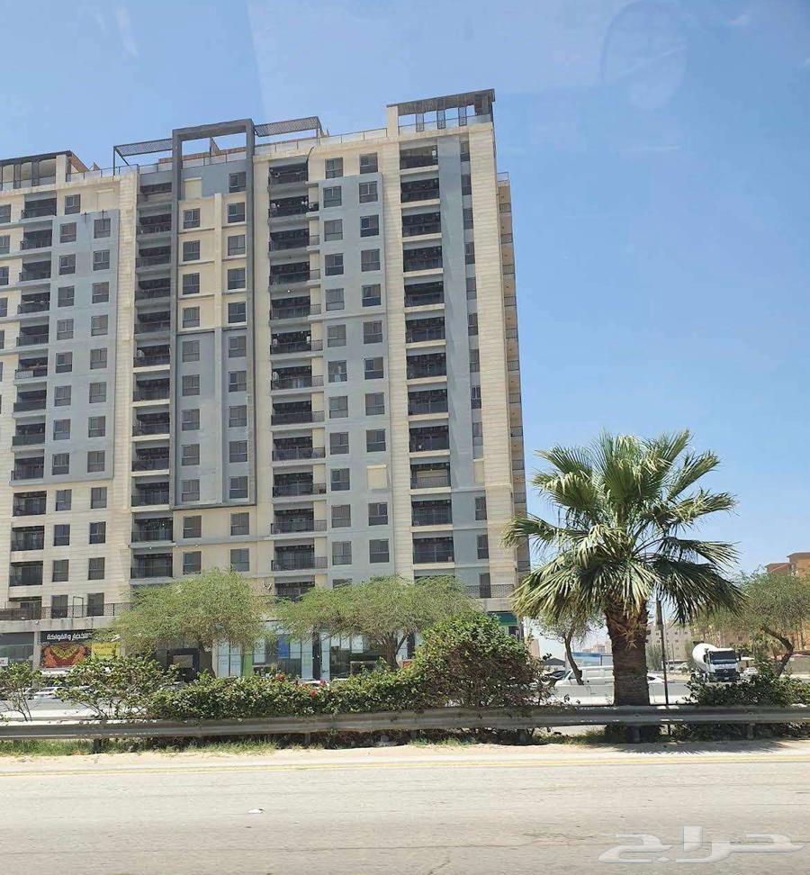 3 bedroom apartment in Al Hamra 20