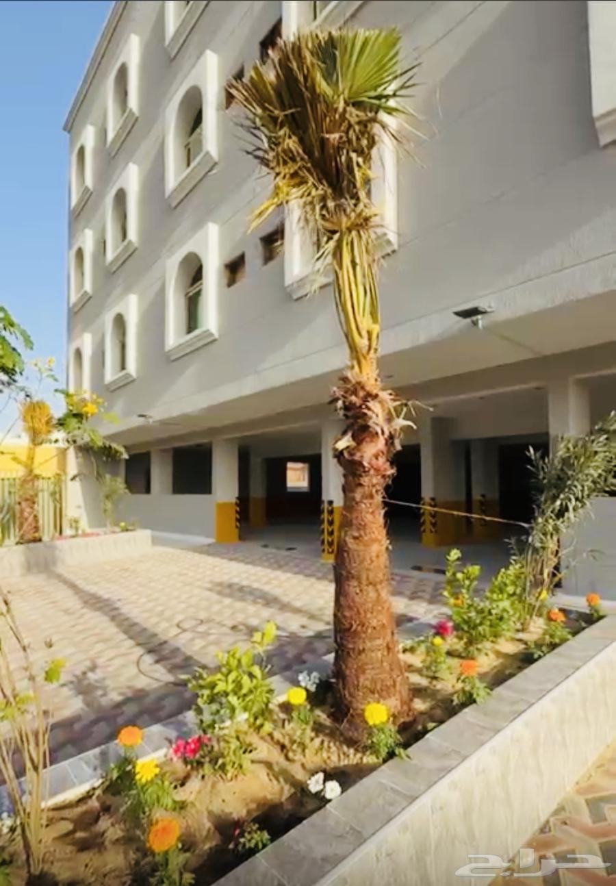 3 bedroom apartment in An Nur 3