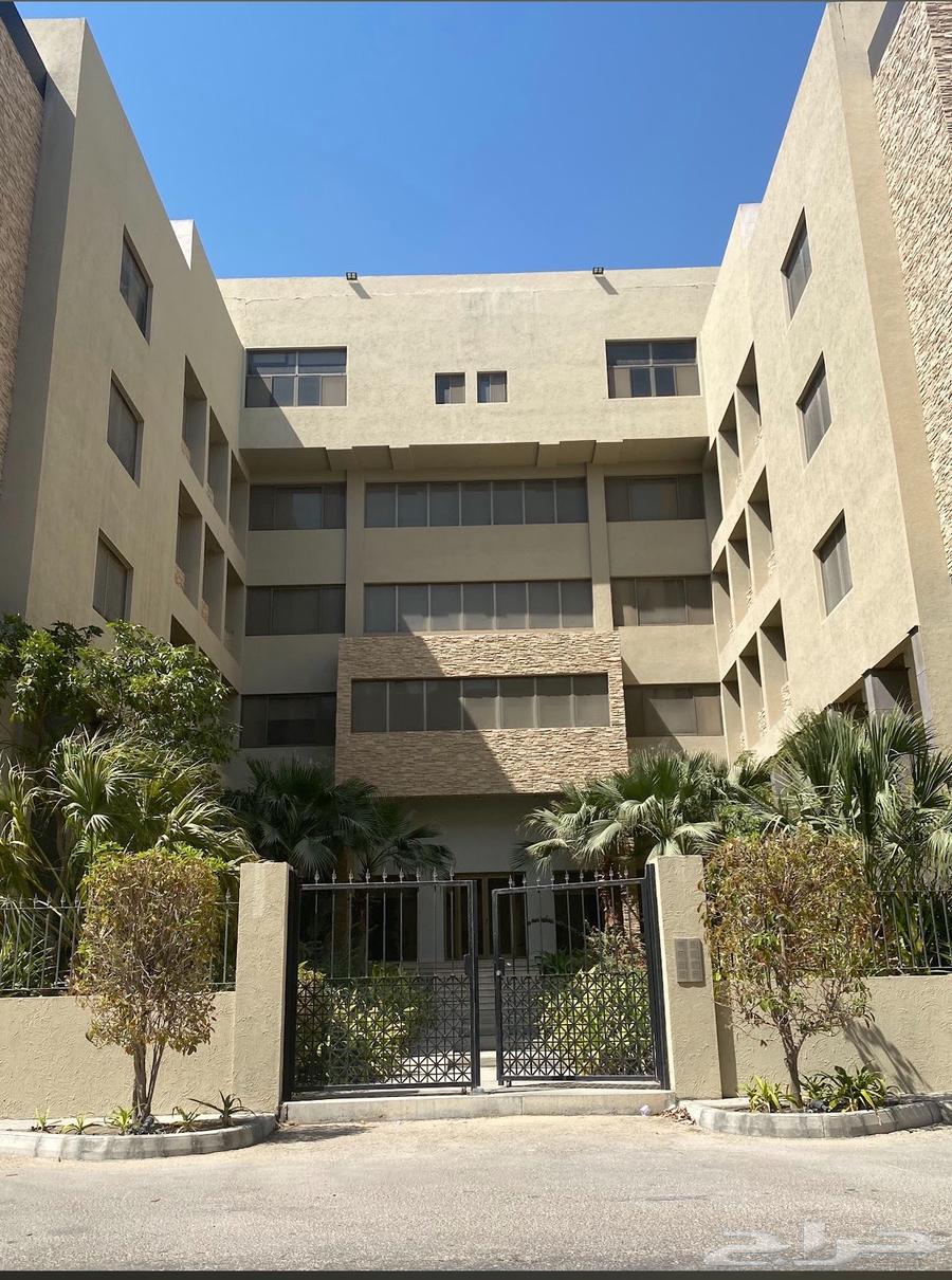2 bedroom apartment in Al Hamra, Eastern Province 5