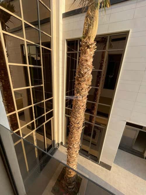 5 bedroom villa in Al Mahdiyyah 1