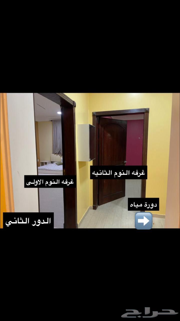11 bedroom villa in Taibah 21
