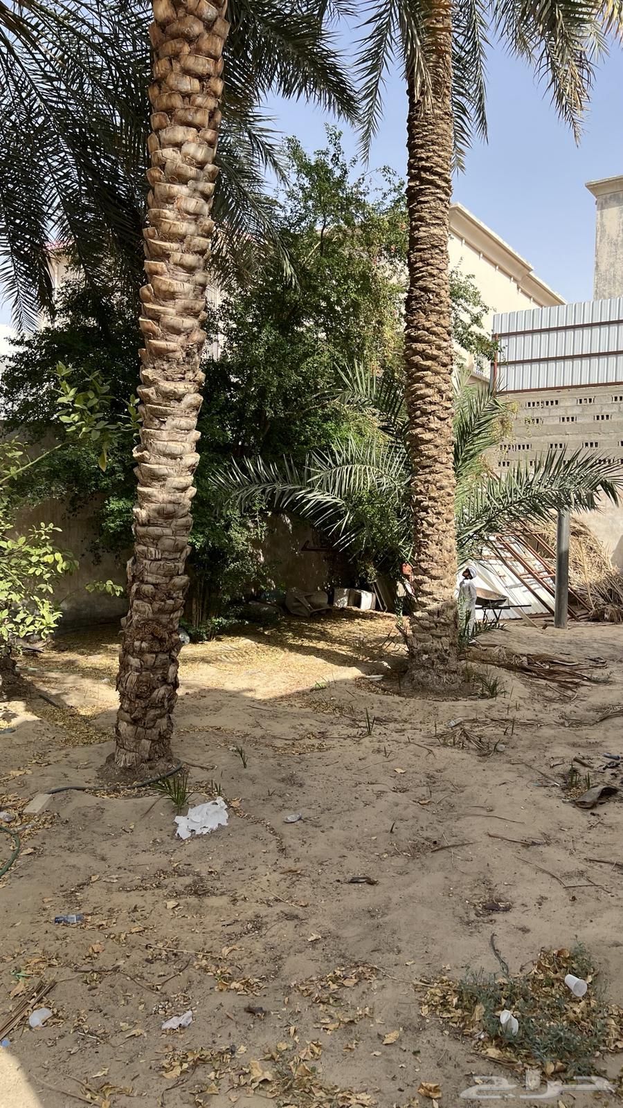 7 bedroom villa in Eastern Province 8