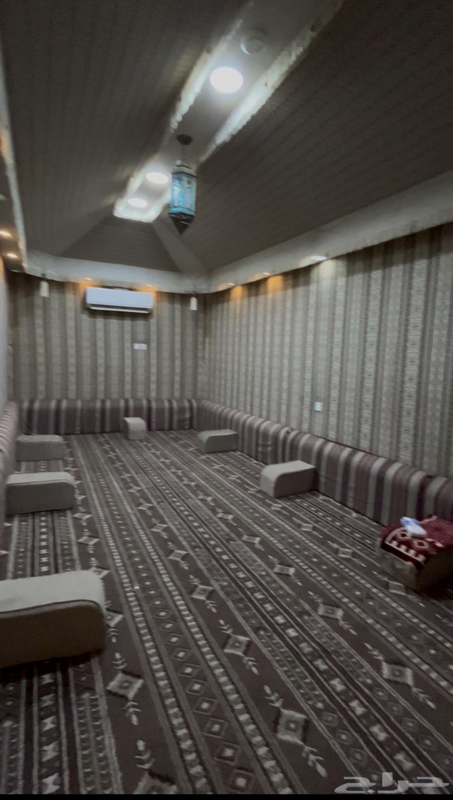 شقة  في اللؤلؤ 4