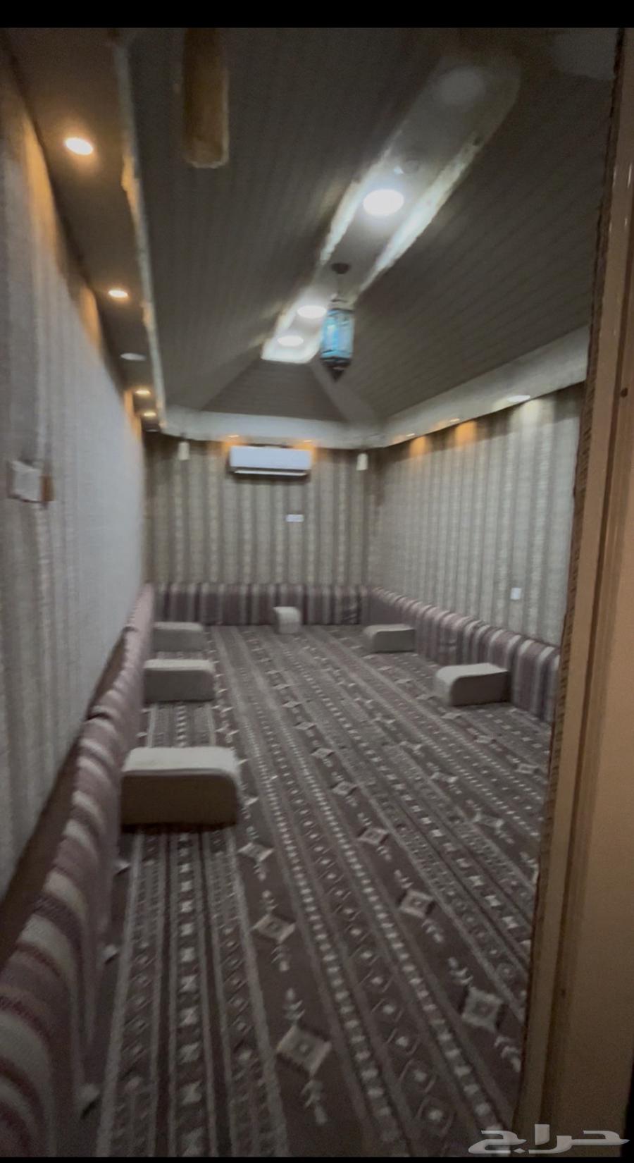 شقة  في اللؤلؤ 5