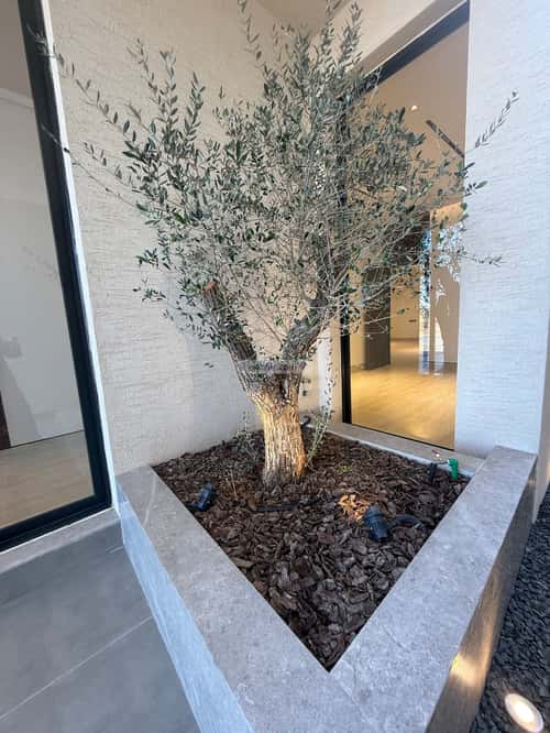 5 bedroom villa in Al Mahdiyyah 18