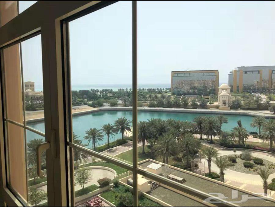 2 bedroom apartment in Al Baylasan 2