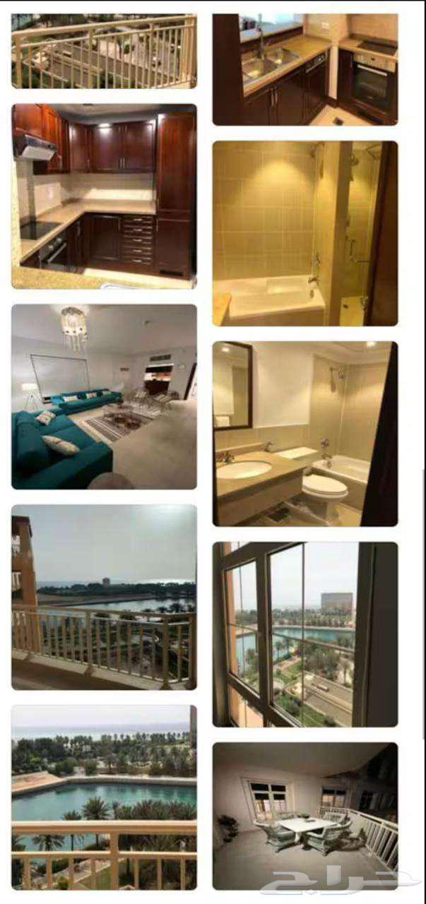 2 bedroom apartment in Al Baylasan 16