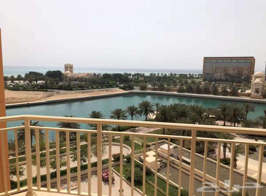 2 bedroom apartment in Al Baylasan 3