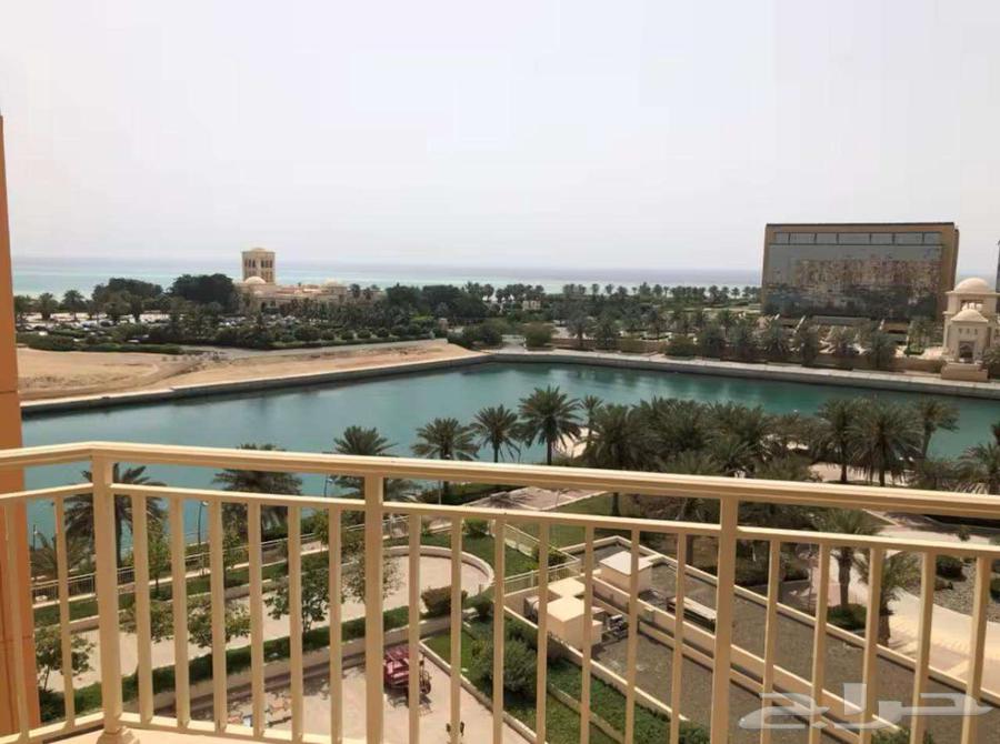 2 bedroom apartment in Al Baylasan 4