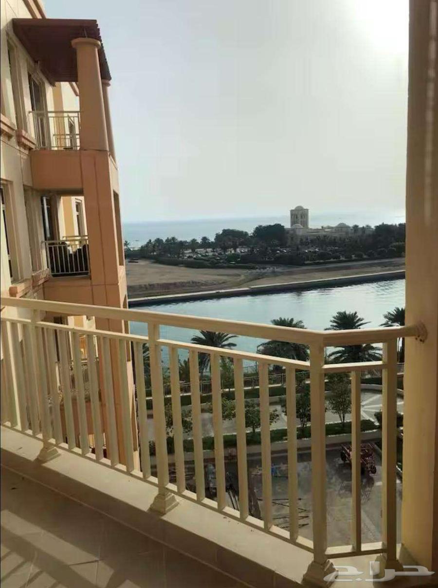 2 bedroom apartment in Al Baylasan 5