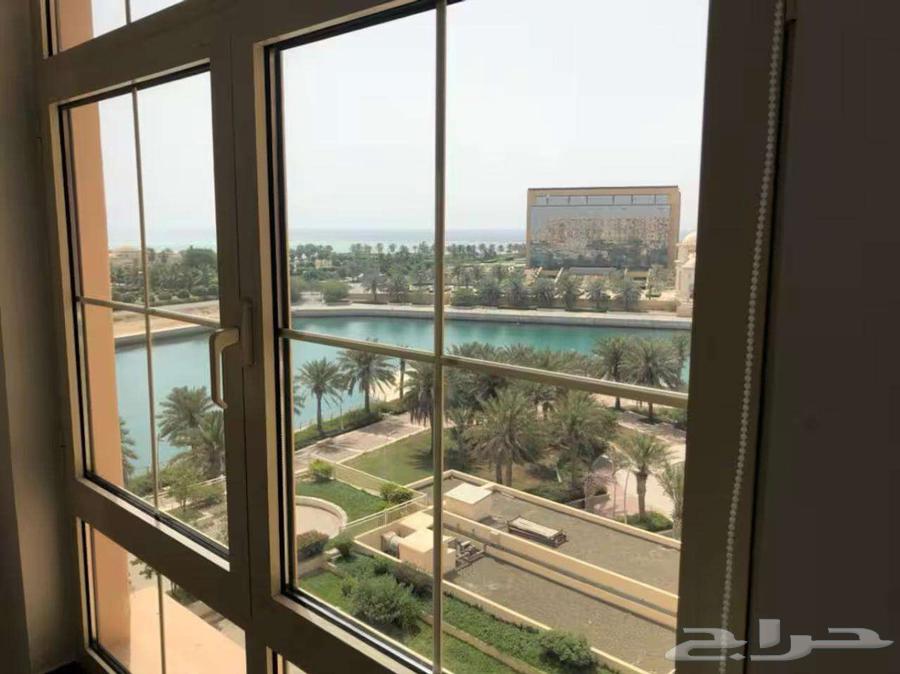 2 bedroom apartment in Al Baylasan 6