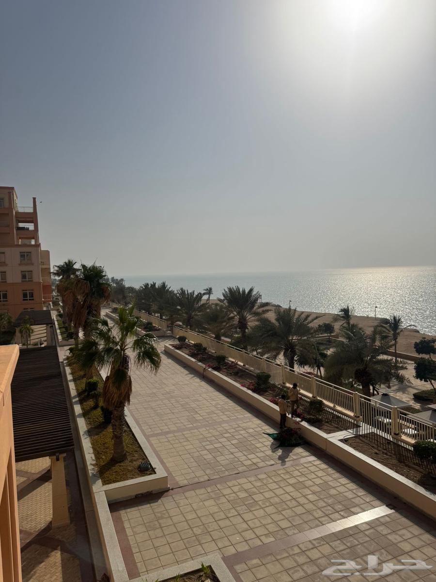 شقة 4 غرف في البيلسان 7