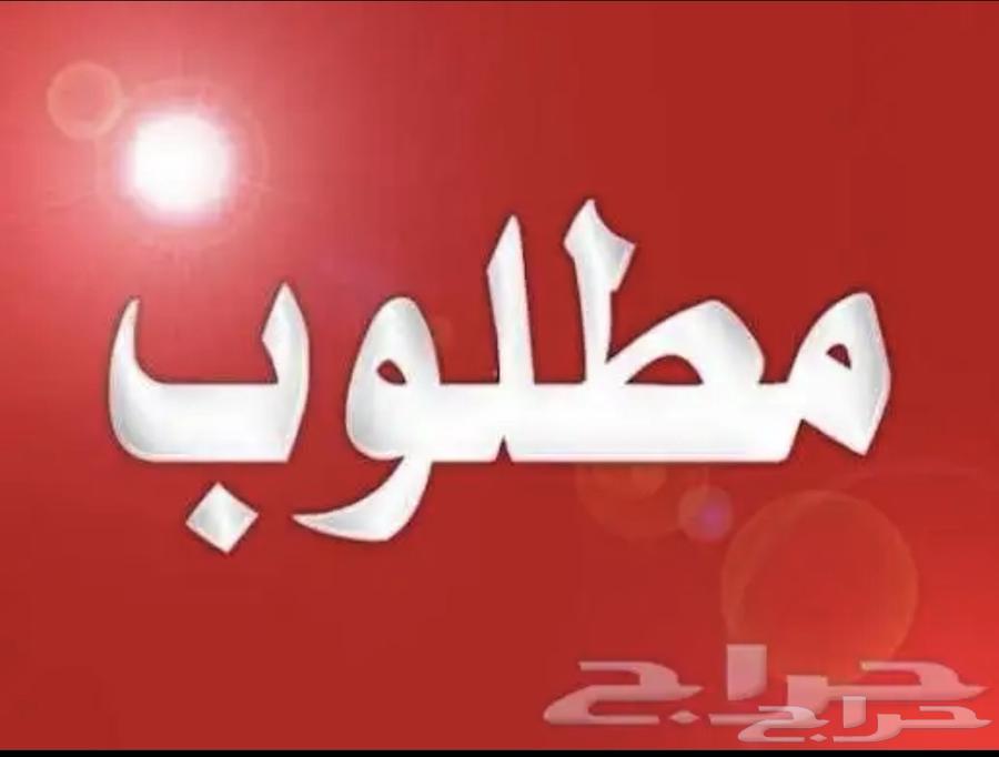 2 bedroom apartment in Al Salamah