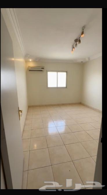 شقة  في الصحافة 2