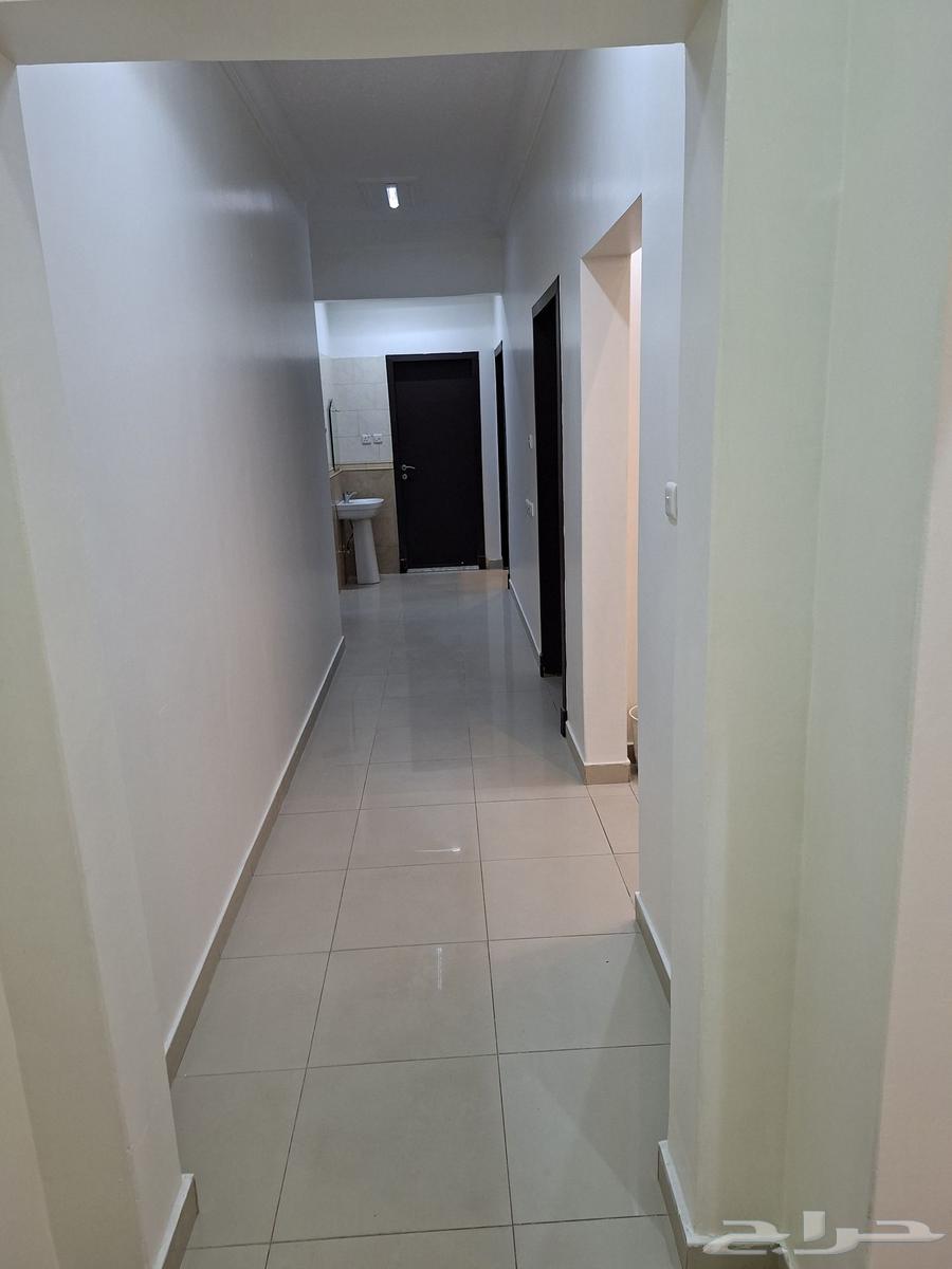 شقة 2 غرف في النهضة 4