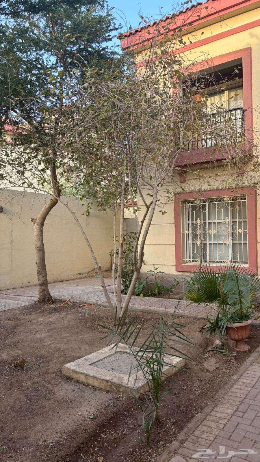 6 bedroom villa in Al Ranuna 3