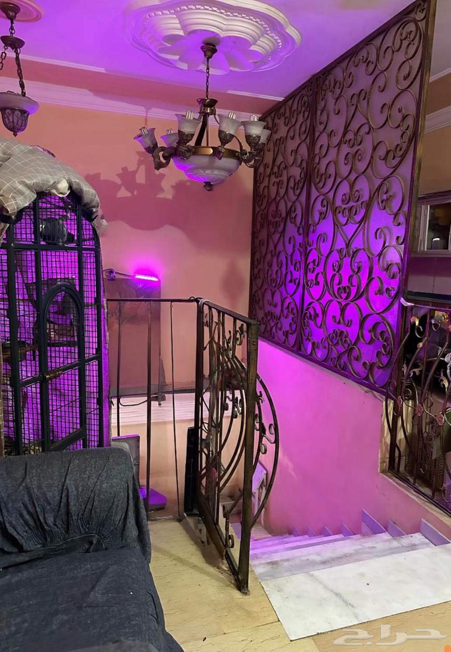 5 bedroom villa in Al Bawadi, Jeddah 6