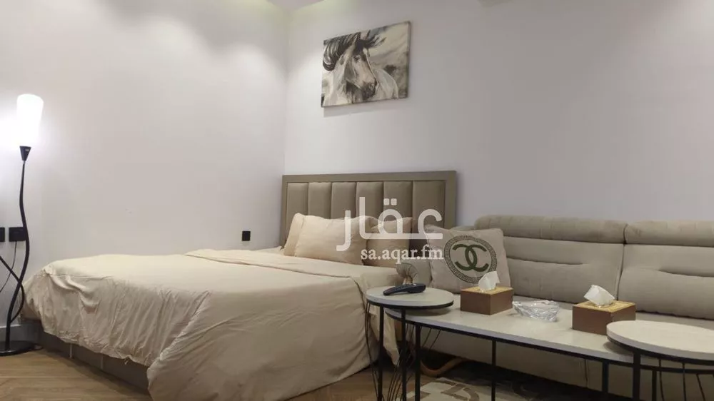 شقة 1 غرف في العقيق 1