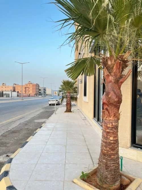 شقة 2 غرف في المهدية 7