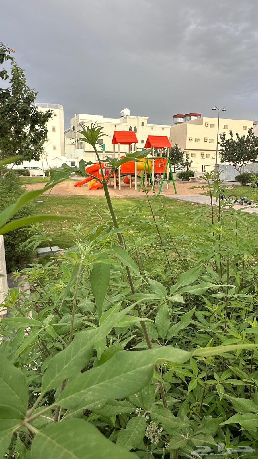 5 bedroom apartment in Al Qaswa, Madinah 11