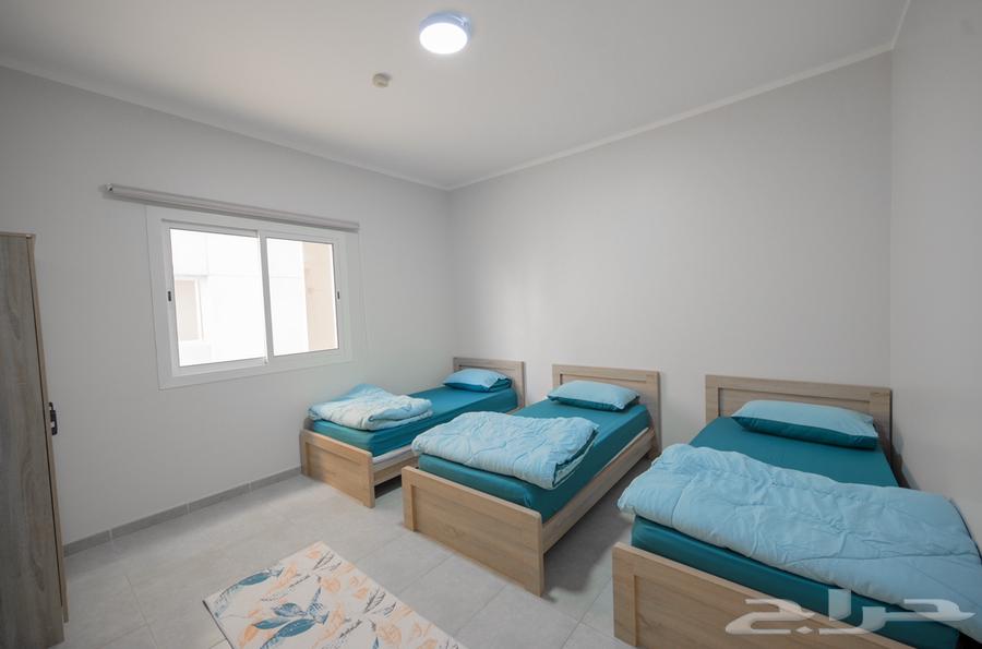 2 bedroom apartment in Al Harir 2